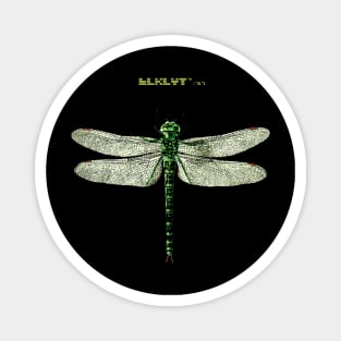 BLKLYT/57 - BUG 3 DRAGONFLY Magnet